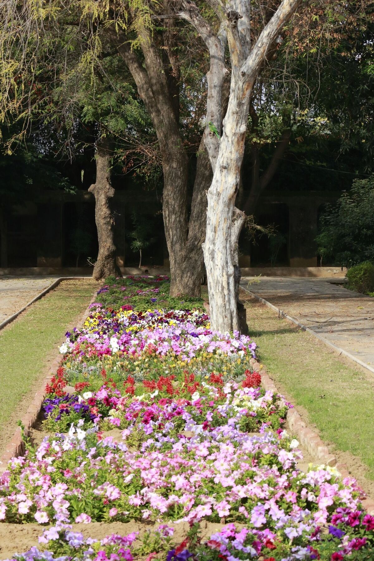 Samode Bagh Otel Dış mekan fotoğraf